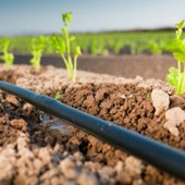 Micro irrigation Lorraine